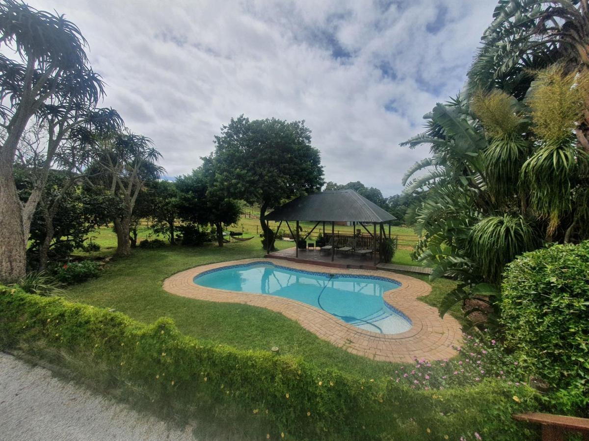 Milkwood Country House Port Elizabeth Exteriér fotografie